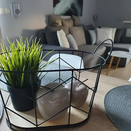 公寓 Silver Międzywodzie