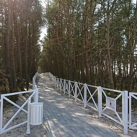 Silver 아파트 미에드지보드지