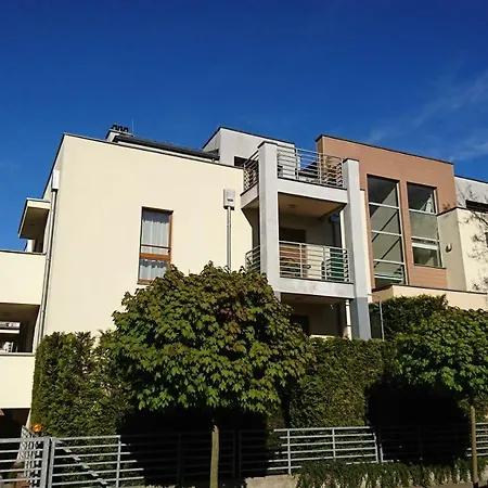 Silver * 미에드지보드지