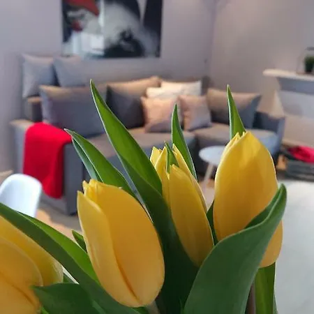 Apartament Silver Miedzywodzie Miedzywodzie