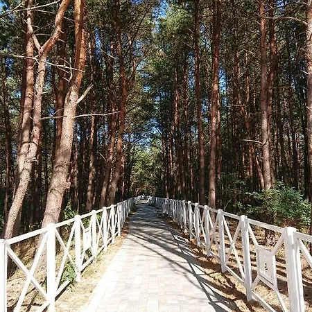 Silver * Międzywodzie