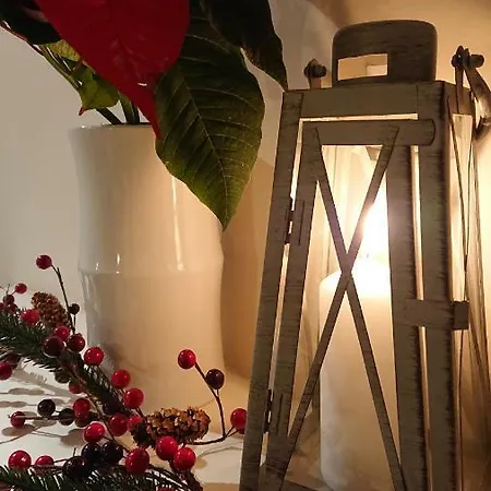 Silver * Międzywodzie