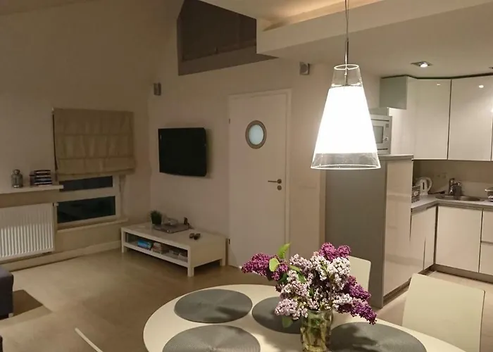 Silver Apartamento Międzywodzie