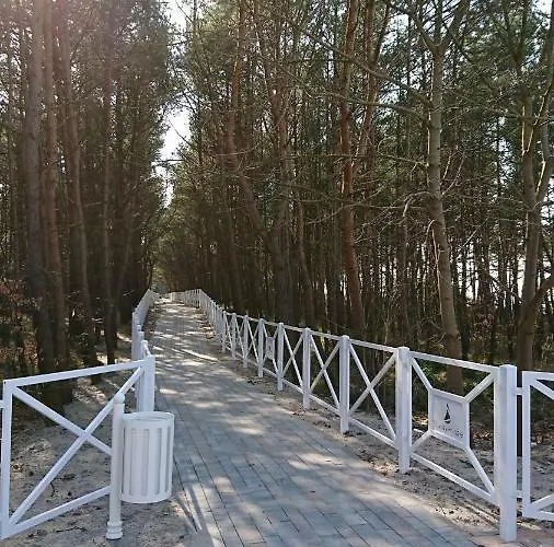 Silver Apartamento Międzywodzie