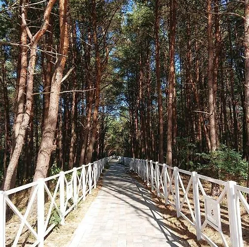 Silver * Międzywodzie