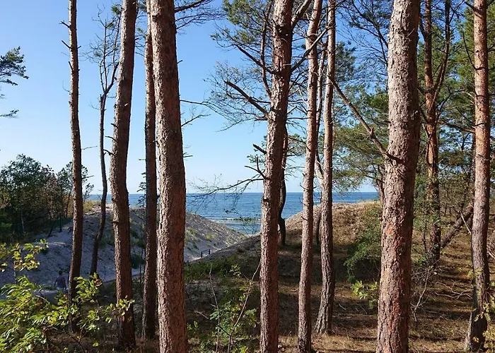 Silver Międzywodzie